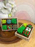 Garden Bed clicker
